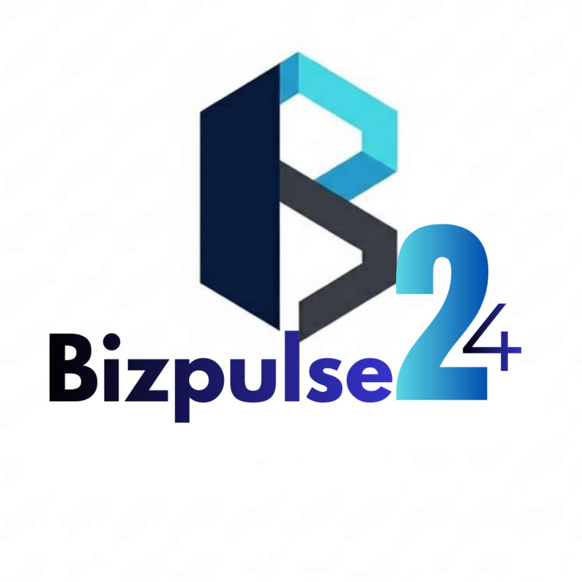 BizPulse24